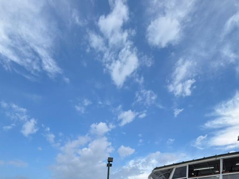 Caminho dos Príncipes e Trem Serra do Mar 