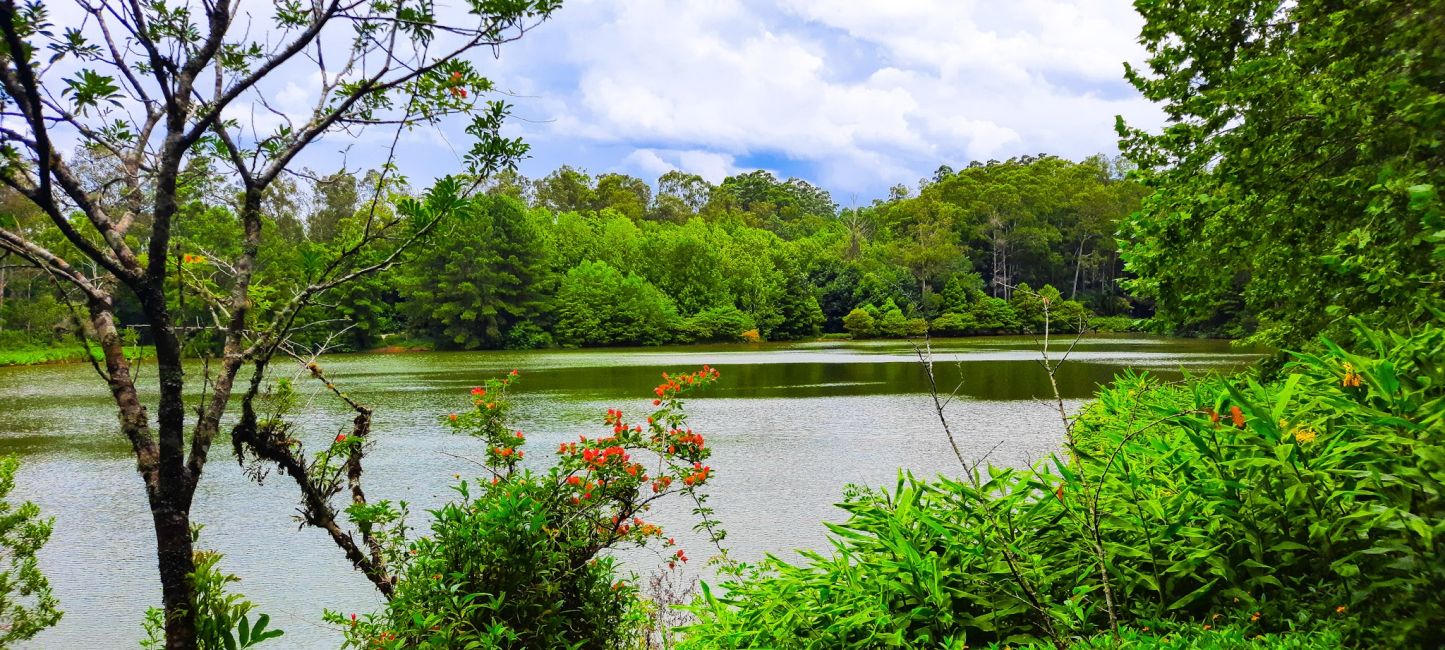 Aqueduto de Candelária e Parque Witeck: Candelária e Novo Gabrais
