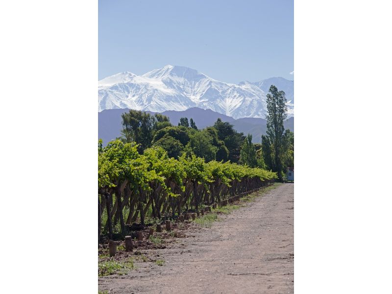 Mendoza e Cordilheira dos Andes - 12x Sem juros - imagem 5
