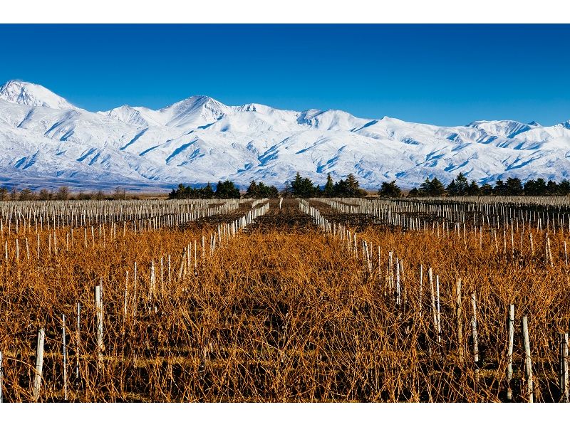 Mendoza e Cordilheira dos Andes - 12x Sem juros - imagem 7