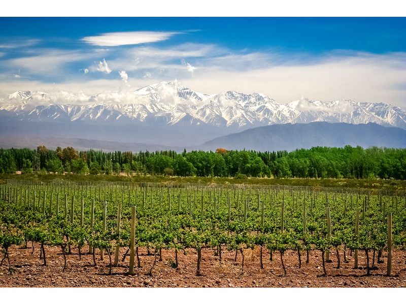 Mendoza e Cordilheira dos Andes - 12x Sem juros - imagem 8