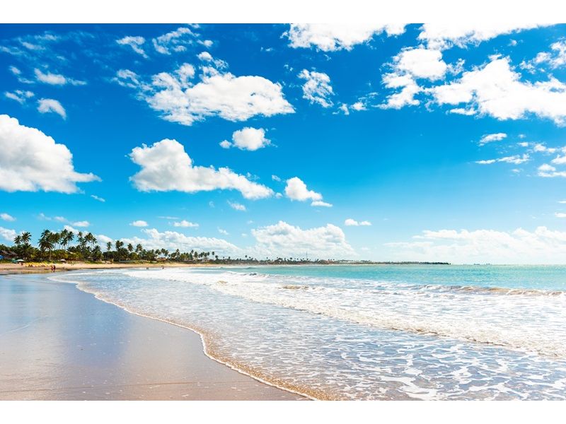 Porto de Galinhas, Recife e Maragogi - PE/AL - 12x Sem juros - imagem 14