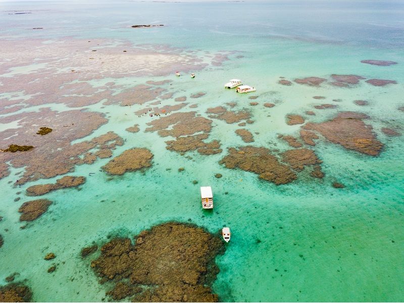 Porto de Galinhas, Recife e Maragogi - PE/AL - 12x Sem juros - imagem 2