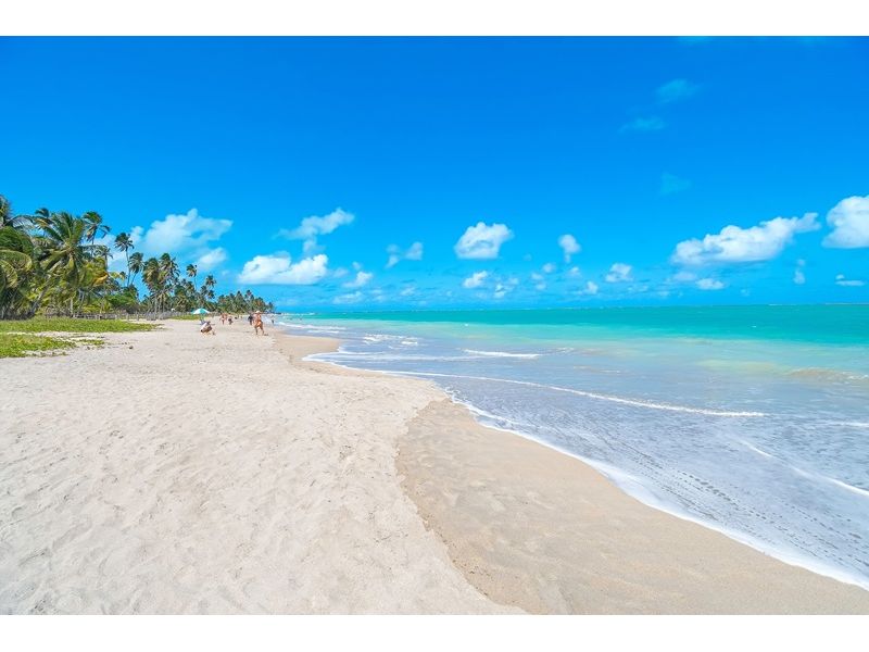 Porto de Galinhas, Recife e Maragogi - PE/AL - 12x Sem juros