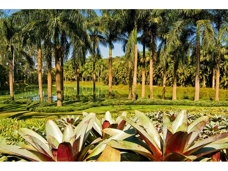 Minas Histórica e Inhotim: Ouro Preto, Tiradentes, São João del Rei, Brumadinho e Belo Horizonte - imagem 14