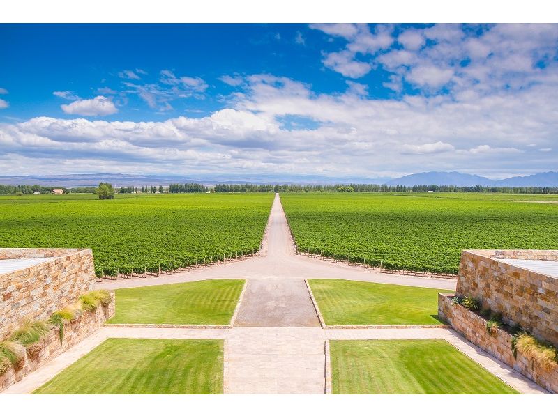 Mendoza Premium: Vinhos e Cordilheira dos Andes - imagem 3