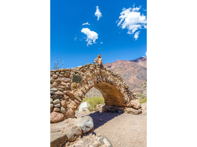 Mendoza Premium: Vinhos e Cordilheira dos Andes - imagem 2