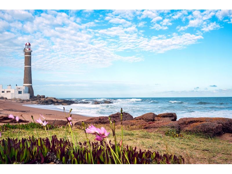 Uruguai: Montevideo, Punta del Este, Colonia del Sacramento, Piriápolis, Fortaleza de Santa Teresa e Chuí - imagem 20