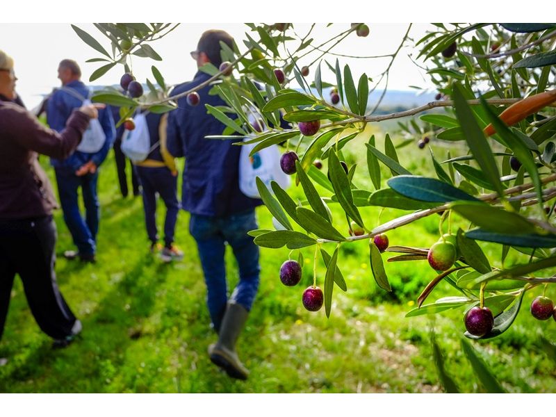 Campanha Gaúcha e Trem do Pampa: Bagé, Dom Pedrito, Sant`Ana do Livramento e Rivera - imagem 12