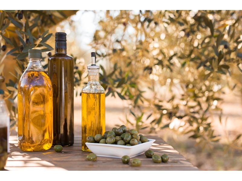 Campanha Gaúcha e Trem do Pampa: Bagé, Dom Pedrito, Sant`Ana do Livramento e Rivera - imagem 16