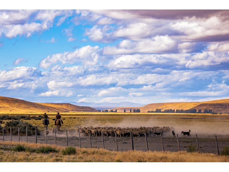 Campanha Gaúcha e Trem do Pampa: Bagé, Dom Pedrito, Sant`Ana do Livramento e Rivera