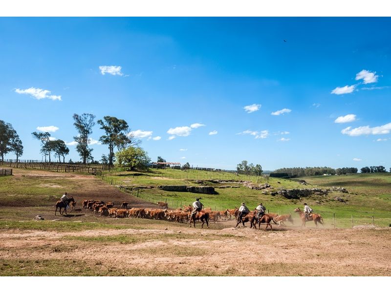 Campanha Gaúcha e Trem do Pampa: Bagé, Sant`Ana do Livramento e Rivera - imagem 20