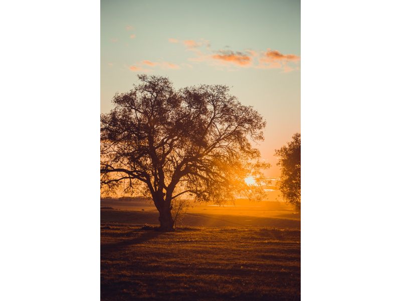 Campanha Gaúcha e Trem do Pampa: Bagé, Sant`Ana do Livramento e Rivera - imagem 24