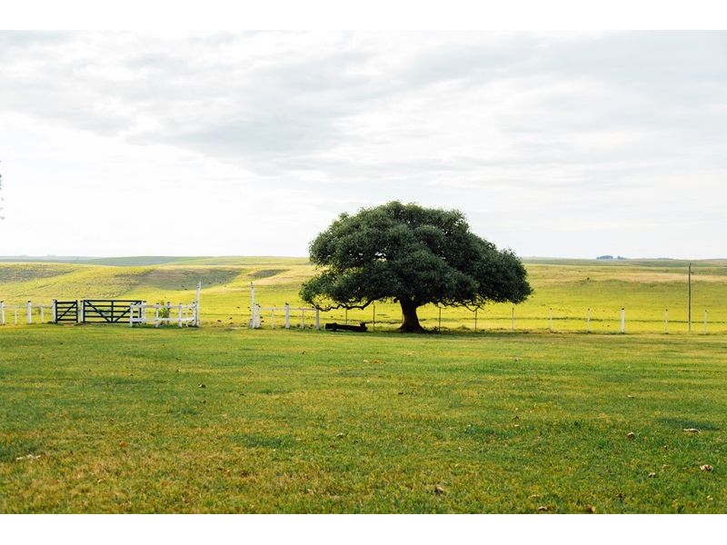 Campanha Gaúcha e Trem do Pampa: Bagé, Sant`Ana do Livramento e Rivera - imagem 5