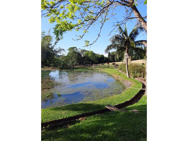 Cataratas de Quilombo e Treze Tílias - imagem 20