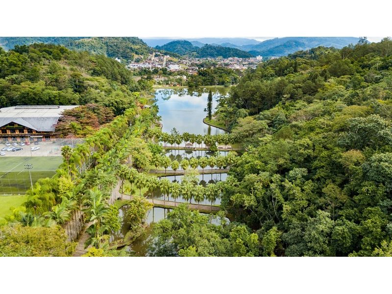 Caminho dos Príncipes: Barco Príncipe e Trem Serra do Mar Catarinense - Rio Negrinho, Corupá e Joinville - imagem 9