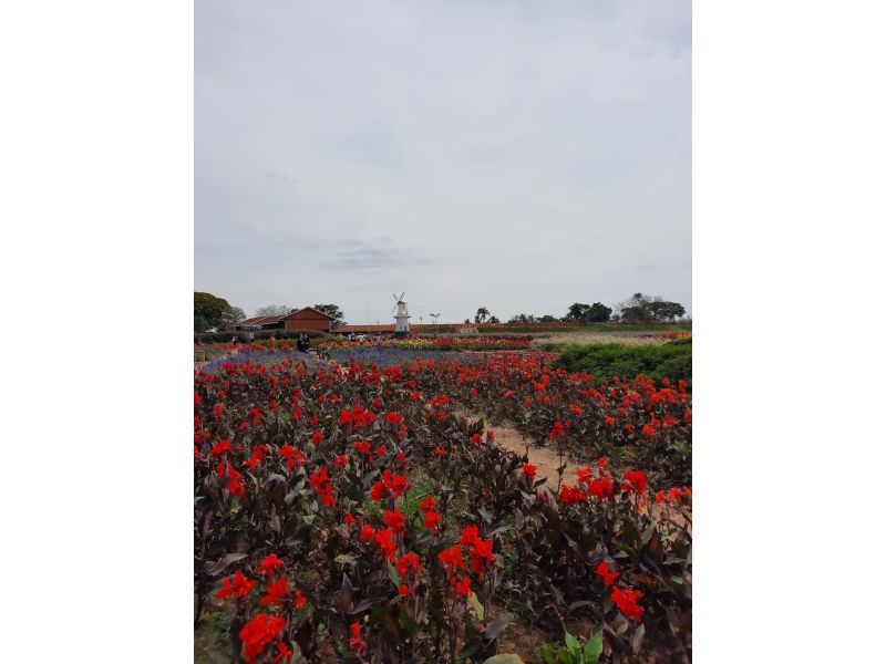 Holambra e Campos do Jordão - imagem 23