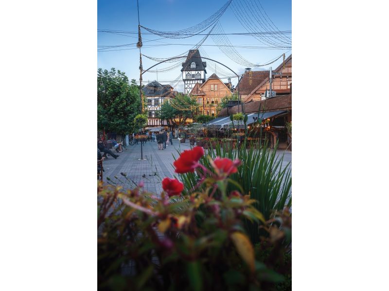 Holambra e Campos do Jordão - imagem 22