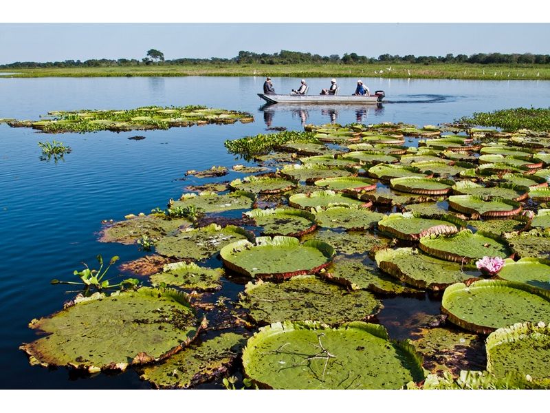 Circuito Pantaneiro - Bonito e Pantanal - imagem 3