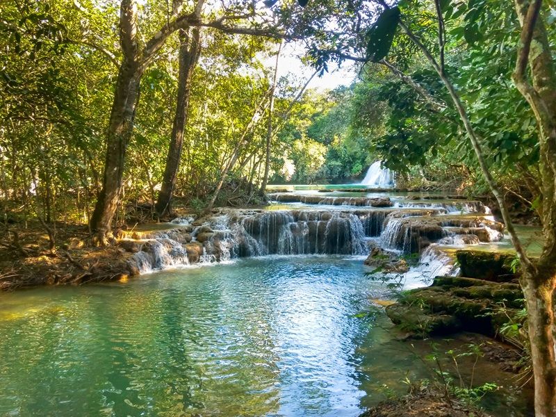 Circuito Pantaneiro - Bonito e Pantanal - imagem 18