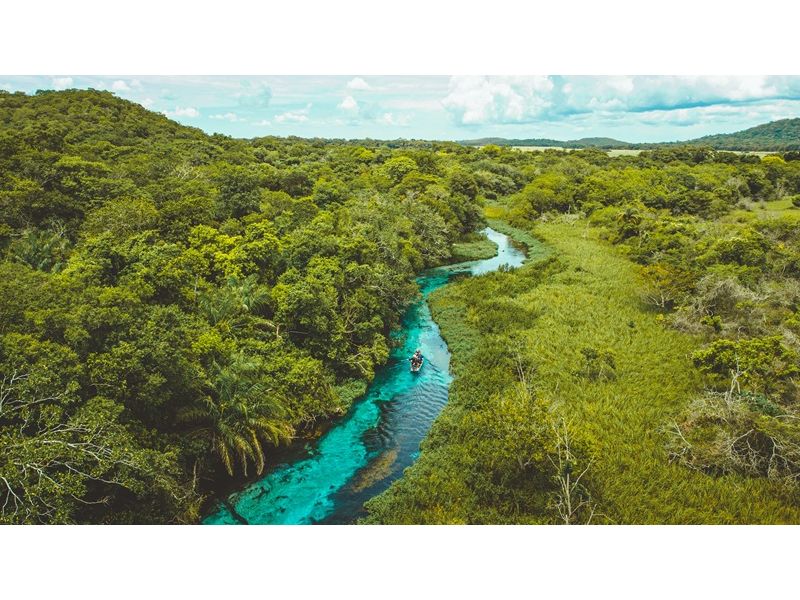 Circuito Pantaneiro: Bonito e Pantanal - imagem 9