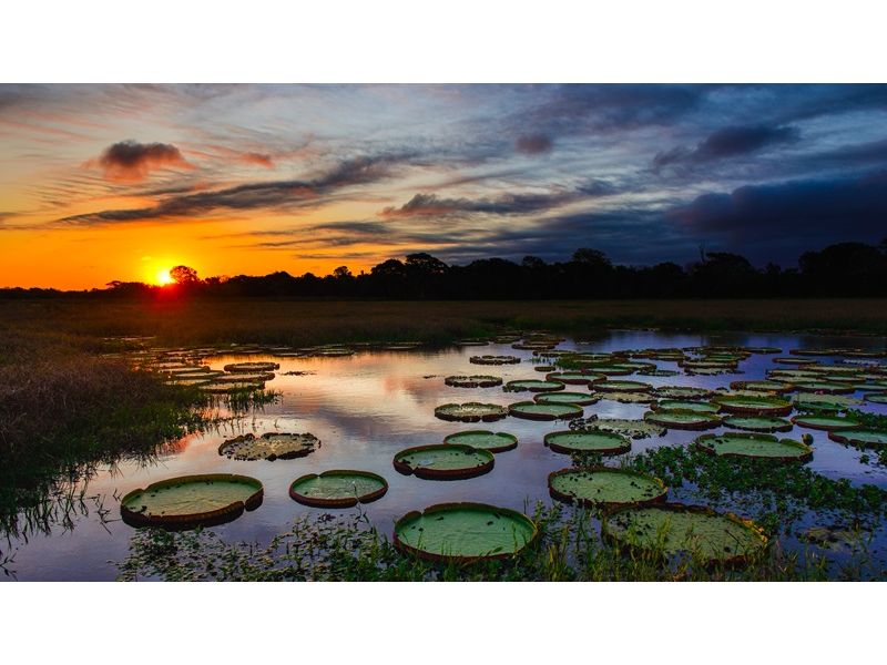 Circuito Pantaneiro: Bonito e Pantanal - imagem 13