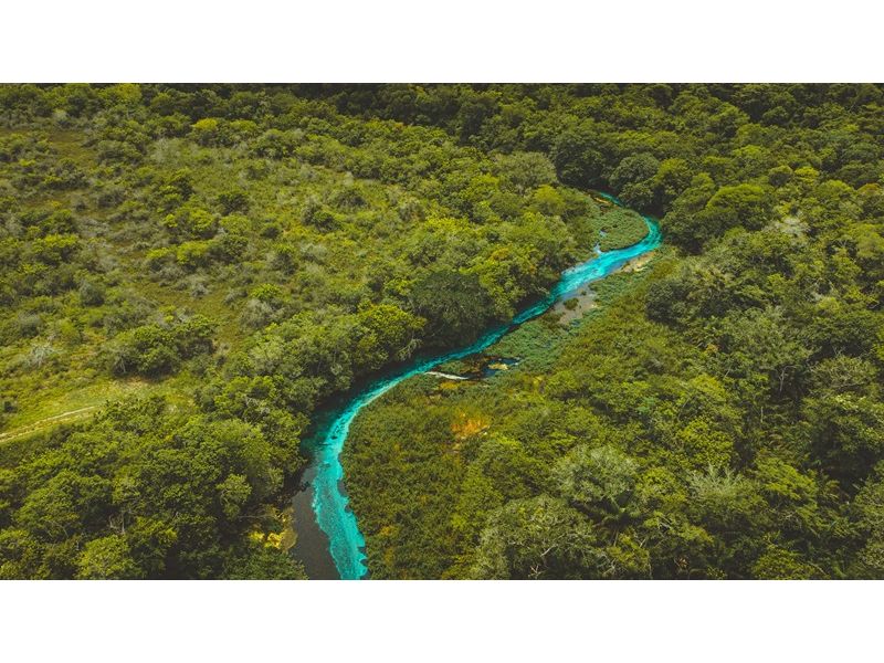 Circuito Pantaneiro: Bonito e Pantanal - imagem 15