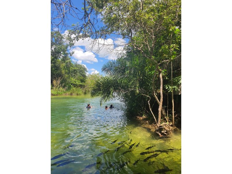 Circuito Pantaneiro: Bonito e Pantanal - imagem 24