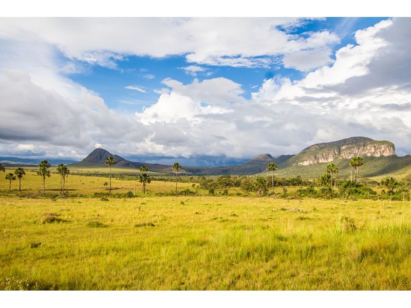 Chapada dos Veadeiros e Brasília: Natureza e História - imagem 16