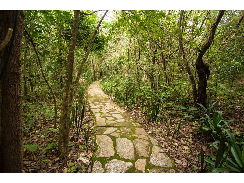 Chapada dos Veadeiros e Brasília: Natureza e História - imagem 13