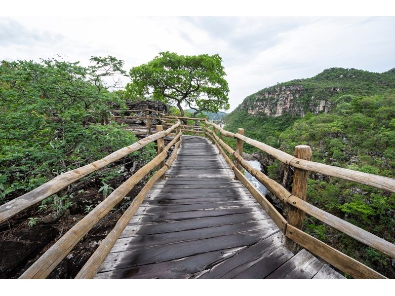 Chapada dos Veadeiros e Brasília: Natureza e História - imagem 15