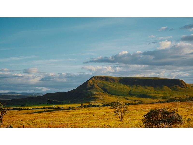 Chapada dos Veadeiros e Brasília: Natureza e História - imagem 4