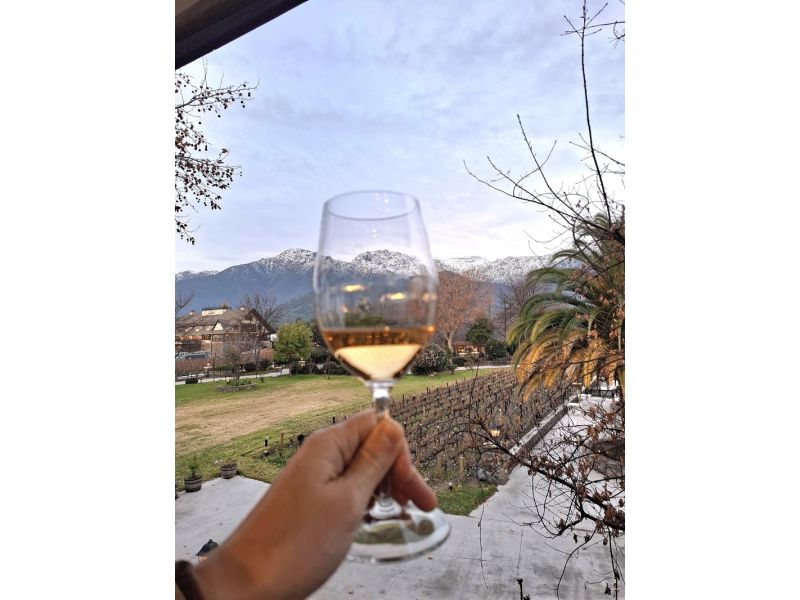 Chile Encantador: Neve, Vinhos e Pacífico - imagem 8