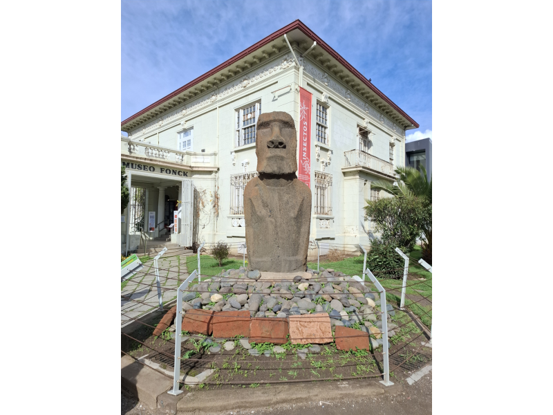 Chile Encantador: Neve, Vinhos e Pacífico - imagem 13