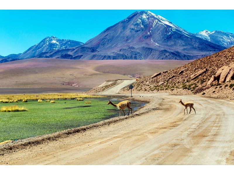 Deserto do Atacama: Onde o Silêncio Brilha - imagem 4