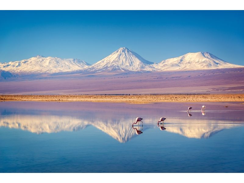 Deserto do Atacama: Onde o Silêncio Brilha