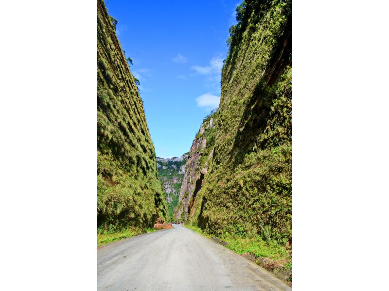 Urubici, Serra do Rio do Rastro e Cânion da Ronda - imagem 4
