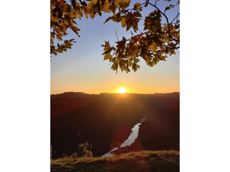 Vinhedos e Piquenique: Nova Pádua e Flores da Cunha - imagem 10