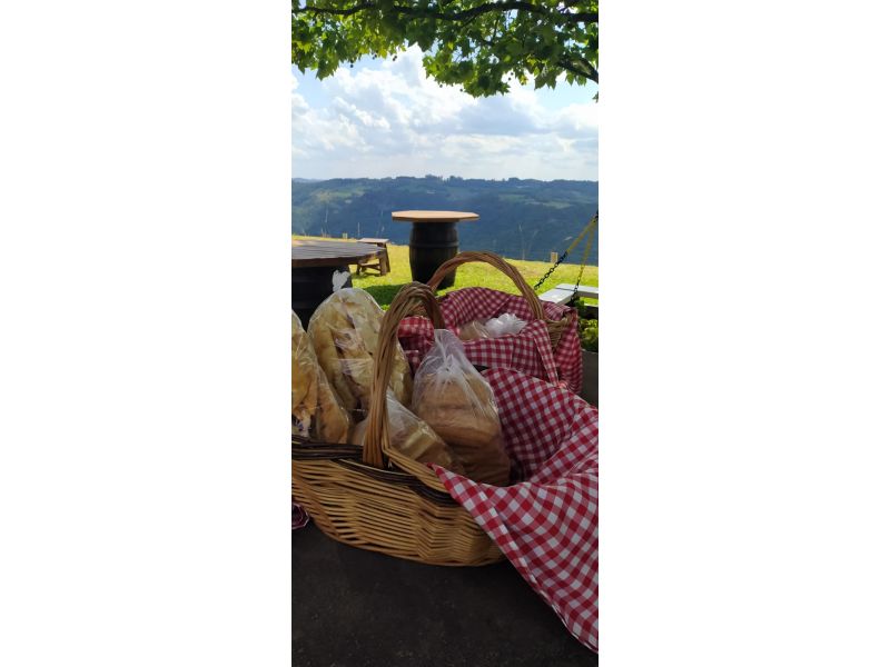 Vinhedos e Piquenique: Nova Pádua e Flores da Cunha - imagem 9