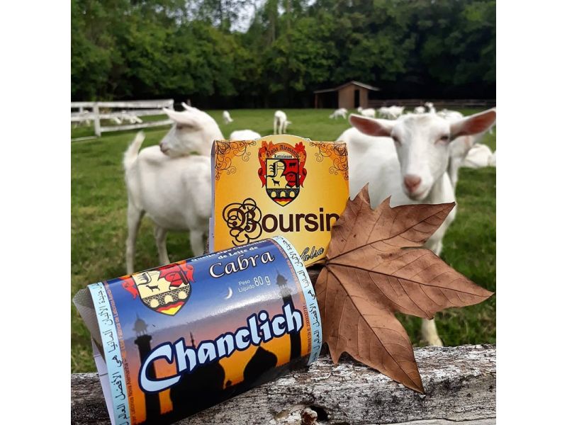 Vale Germânico com Café Colonial: Ivoti, Dois Irmãos e Presidente Lucena - imagem 8