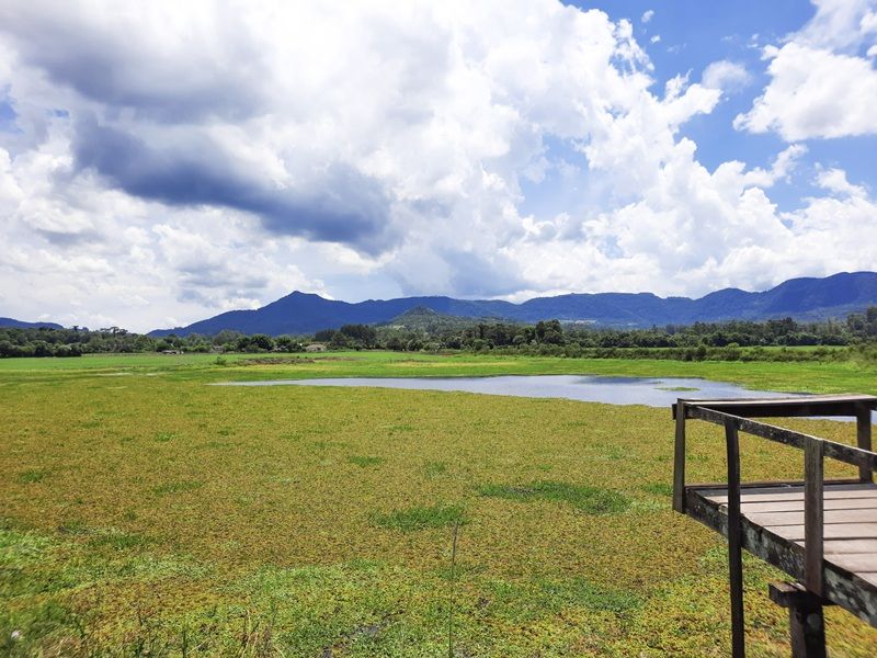 Aqueduto de Candelária e Parque Witeck: Candelária e Novo Gabrais - imagem 9