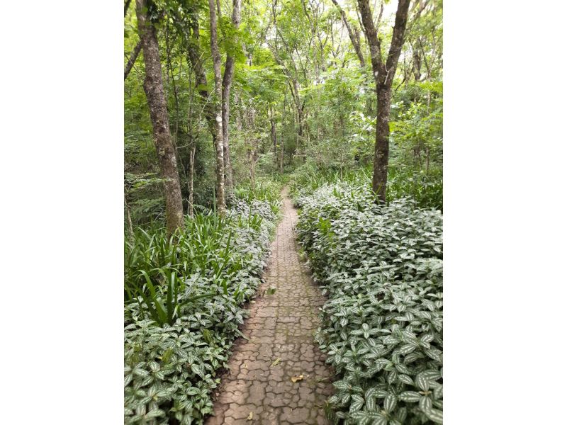 Aqueduto de Candelária e Parque Witeck: Candelária e Novo Gabrais - imagem 20