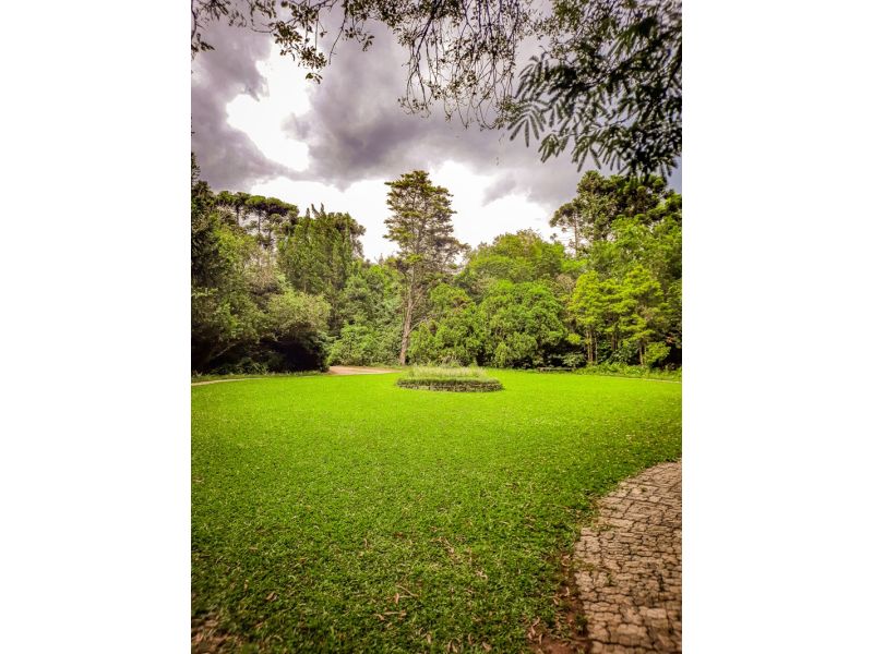 Aqueduto de Candelária e Parque Witeck: Candelária e Novo Gabrais - imagem 13