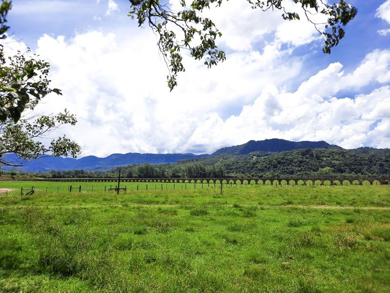 Aqueduto de Candelária e Parque Witeck: Candelária e Novo Gabrais - imagem 6