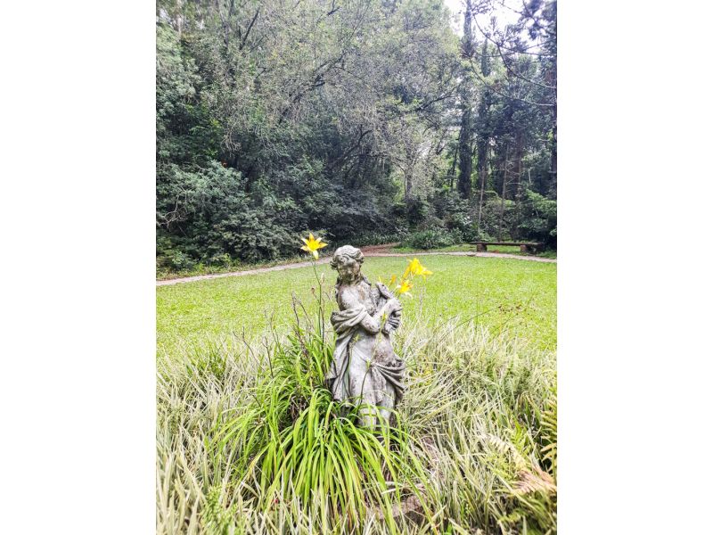 Aqueduto de Candelária e Parque Witeck: Candelária e Novo Gabrais - imagem 24