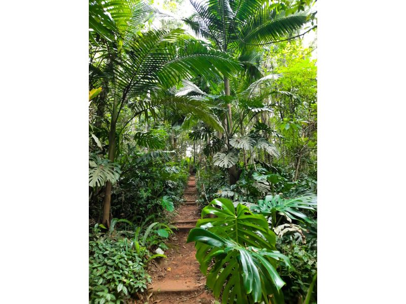 Aqueduto de Candelária e Parque Witeck: Candelária e Novo Gabrais - imagem 16