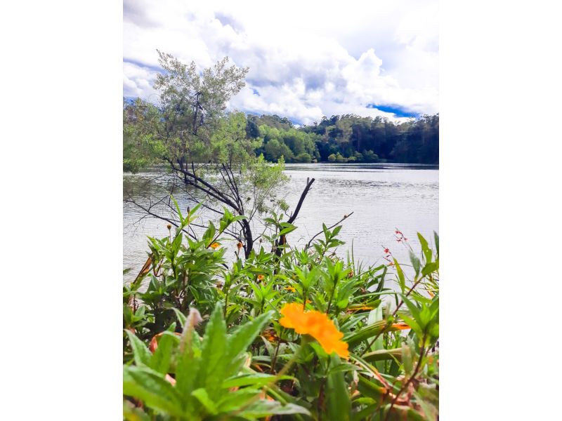 Aqueduto de Candelária e Parque Witeck: Candelária e Novo Gabrais - imagem 23