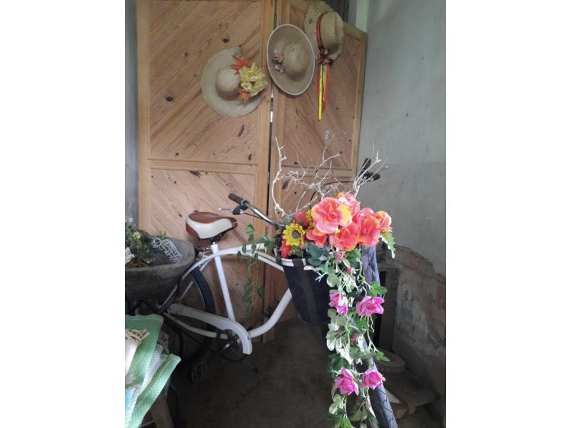 Aqueduto de Candelária e Parque Witeck: Candelária e Novo Gabrais - imagem 21