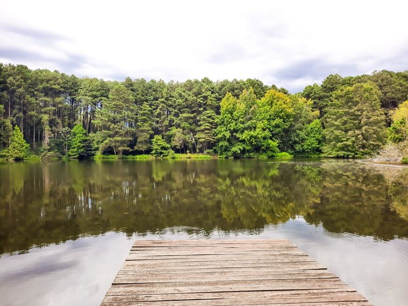Aqueduto de Candelária e Parque Witeck: Candelária e Novo Gabrais - imagem 8