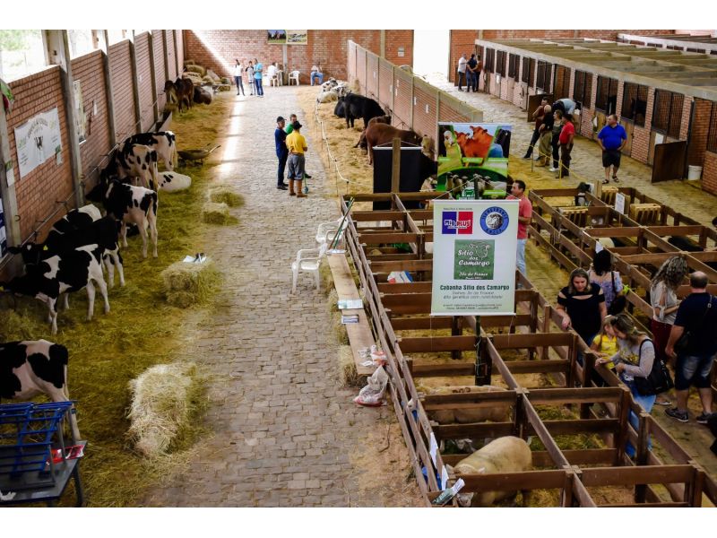Exposol: Feira Internacional de Pedras Preciosas - Soledade - imagem 12